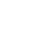 The Blue Minds Company