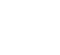 The Blue Minds Company