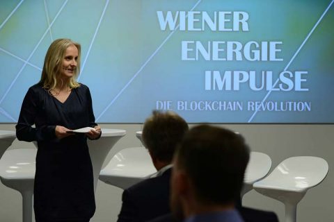 Eveline Steinberger-Kern - Die Blockchain Revolution